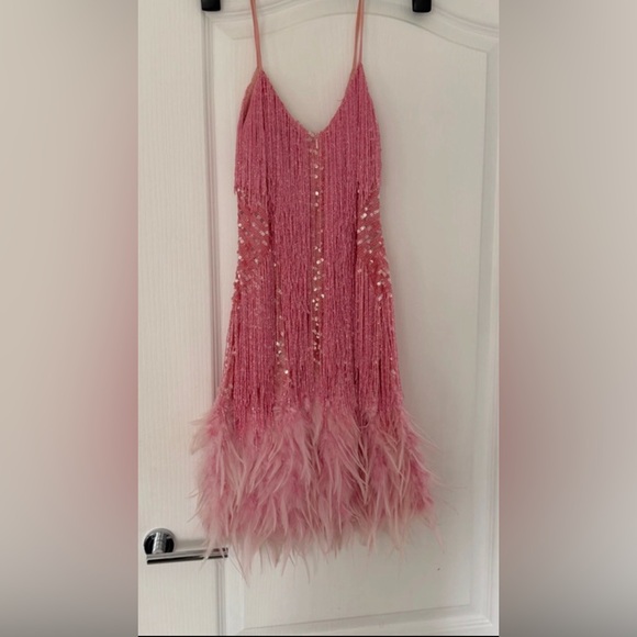 NADINE MERABI LOTTIE Pink Fringe Dress - Picture 6 of 15
